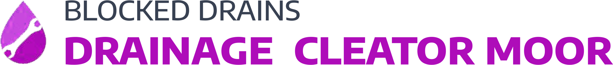 website logo